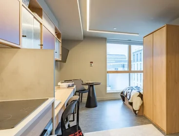 Kawalerka w rezydencji 16-18 Potterrow, Edinburgh EH8 9BL, United Kingdom, obraz 10 47