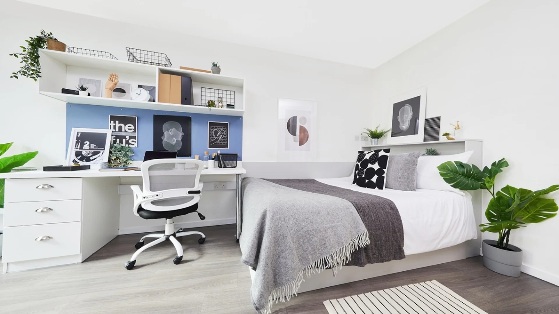 Monolocale chic vicino al campus a 