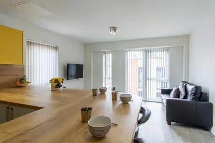 Private room in residence at 31 Dover Street and 44, York St, Leicester LE1 6PW, United Kingdom, image 6 of 23