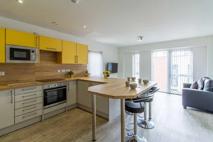 Private room in residence at 31 Dover Street and 44, York St, Leicester LE1 6PW, United Kingdom, image 7 of 23