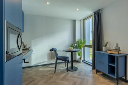 Estudio en residencia en 48 Islington, Liverpool L3 8LH, United Kingdom, imagen 4 de 34