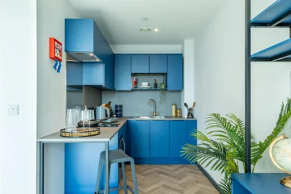Private room in residence at 48 Islington, Liverpool L3 8LH, United Kingdom, image 25 of 32