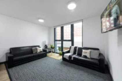 Private room in residence at 36 Vauxhall Rd, Liverpool L3 6AU, United Kingdom, image 11 of 28