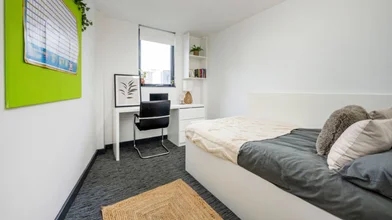Private room in residence at 36 Vauxhall Rd, Liverpool L3 6AU, United Kingdom, image 16 of 28
