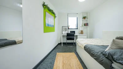 Private room in residence at 36 Vauxhall Rd, Liverpool L3 6AU, United Kingdom, image 18 of 28
