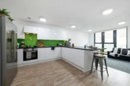 Private room in residence at 36 Vauxhall Rd, Liverpool L3 6AU, United Kingdom, image 23 of 28