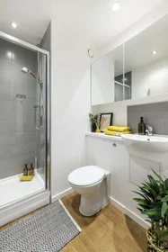 Private room in residence at 36 Vauxhall Rd, Liverpool L3 6AU, United Kingdom, image 26 of 28