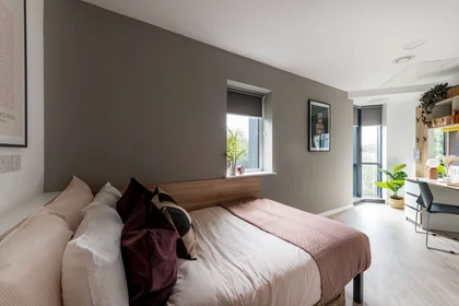 Stanza privata in 160 Bath Row, Birmingham B15 1NR, United Kingdom, immagine 1 di 10