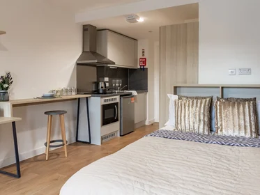 Studio at 123 Huntingdon St, Nottingham NG1 3NG, United Kingdom           , image 1 of 10