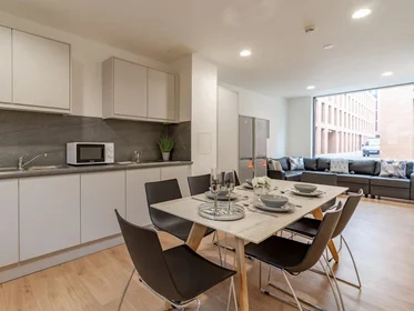 Studio in residence at 123 Huntingdon St, Nottingham NG1 3NG, United Kingdom           , image 12 of 27
