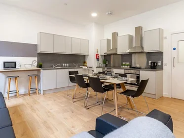 Studio in residence at 123 Huntingdon St, Nottingham NG1 3NG, United Kingdom           , image 17 of 27