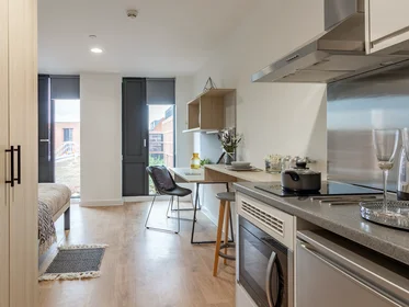Studio in residence at 123 Huntingdon St, Nottingham NG1 3NG, United Kingdom           , image 3 of 27