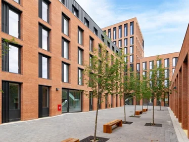 Studio in residence at 123 Huntingdon St, Nottingham NG1 3NG, United Kingdom           , image 26 of 27