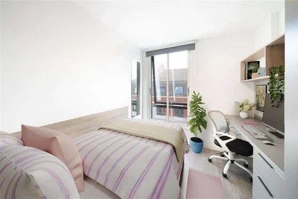 Private room at 29 Wilder St, St Paul's, Bristol BS2 8QA, United Kingdom, image 1 of 10