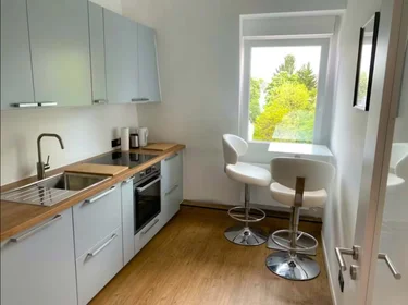 Privatzimmer in der Eschersheimer Landstraße, 60322 Frankfurt am Main, Germany, bild 6 von 12