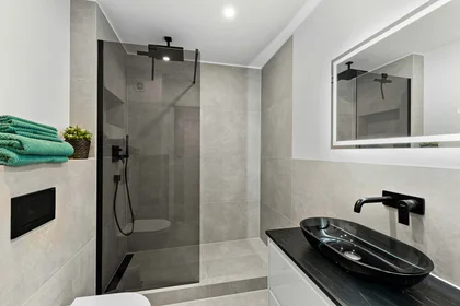 Private room at Mainaustraße, 81243 München, Germany, image 5 of 11