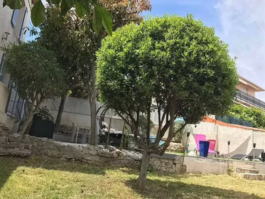 私人房间 在 Antibes, 06600, 19的图像18