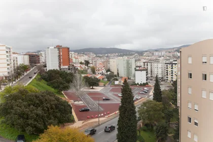 Stanza privata in Rua Carlos Seixas, immagine 18 di 18