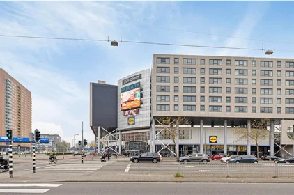 Entire apartment at Zuidplein, image 8 of 10