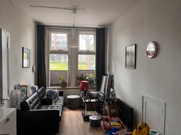 Entire apartment at Rochussenstraat, image 4 of 10