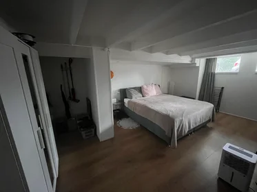 Entire apartment at Rochussenstraat, image 7 of 10