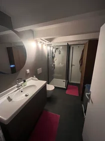 Entire apartment at Rochussenstraat, image 9 of 10
