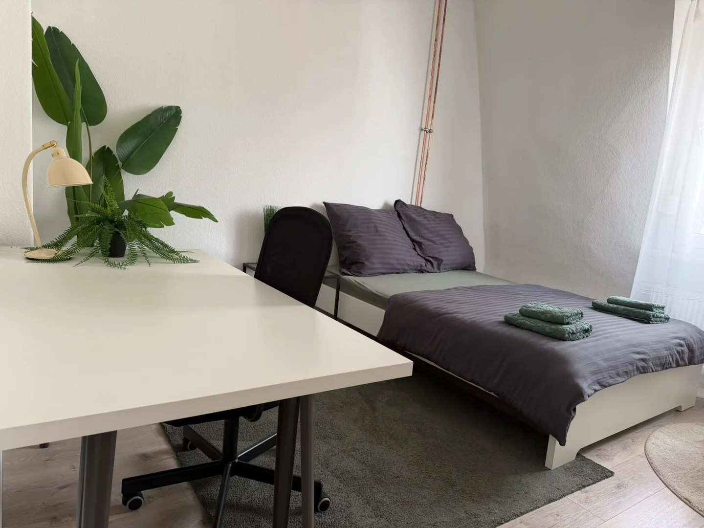 Quarto acolhedor para estudantes disponível em