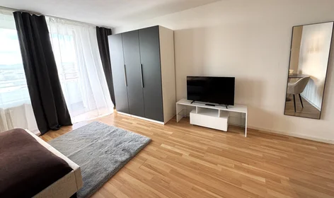 Privatzimmer in der Denzlinger Straße, bild 9 von 20