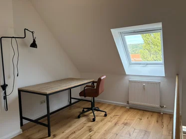 Gesamte Unterkunft in der Theodor-Friedrich-Weg, bild 12 von 15