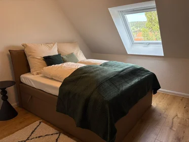 Gesamte Unterkunft in der Theodor-Friedrich-Weg, bild 13 von 15