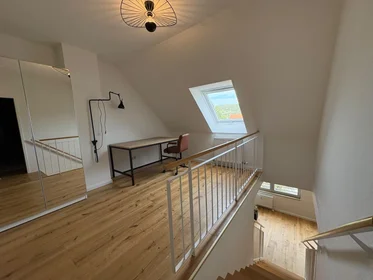 Gesamte Unterkunft in der Theodor-Friedrich-Weg, bild 9 von 15