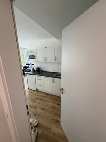 Entire apartment at Am Stift, image 1 of 12