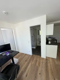Entire apartment at Am Stift, image 5 of 12