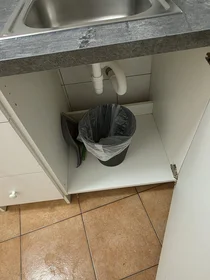 Logement entier à Herbststraße, image 12 de 30