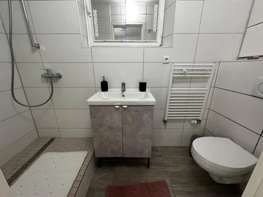 Entire apartment at Paul-Humburg-Straße, image 10 of 19
