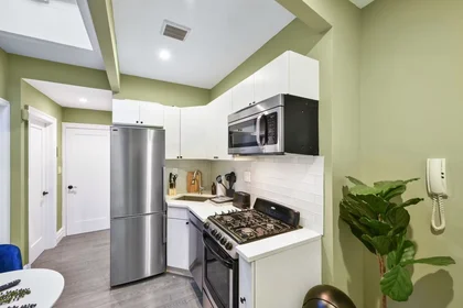 Appartamento intero in Avenue A, Manhattan, immagine 5 di 10