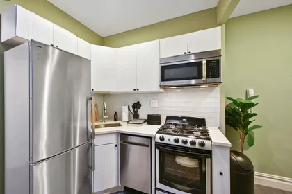 Appartamento intero in Avenue A, Manhattan, immagine 7 di 10