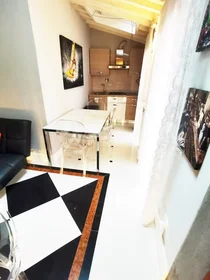 Prywatny pokój Via dei Serragli, Centro Storico, obraz 7 10