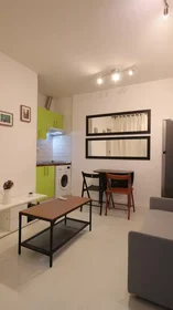 Entire apartment at Calle del Salitre, Centro, image 2 of 10