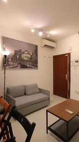 Entire apartment at Calle del Salitre, Centro, image 5 of 10