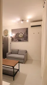 Entire apartment at Calle del Salitre, Centro, image 7 of 10