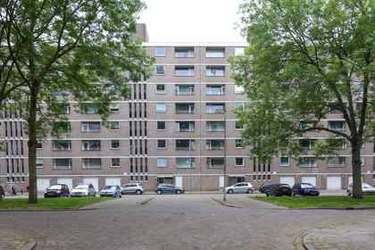 Privatzimmer in der Adriaan Dortsmanstraat, Prins Alexander, bild 4 von 10