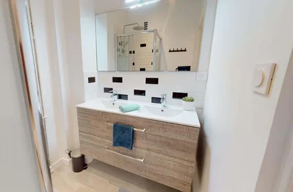 Stanza privata in 31 Rue Barrier, 69006 Lyon, France, immagine 11 di 16
