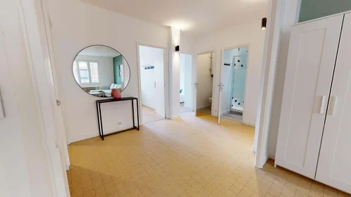 Stanza privata in 31 Rue Barrier, 69006 Lyon, France, immagine 12 di 16