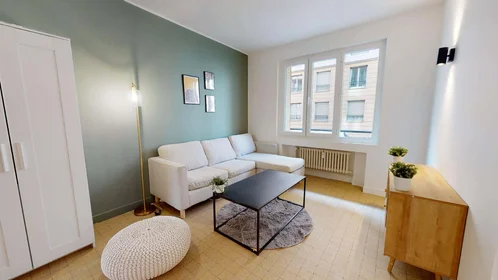 Stanza privata in 31 Rue Barrier, 69006 Lyon, France, immagine 14 di 16