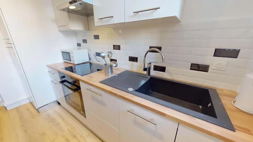 Stanza privata in 31 Rue Barrier, 69006 Lyon, France, immagine 6 di 16