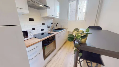 Stanza privata in 31 Rue Barrier, 69006 Lyon, France, immagine 7 di 16
