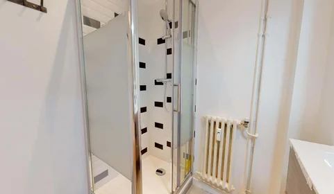 Stanza privata in 31 Rue Barrier, 69006 Lyon, France, immagine 10 di 16