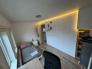 Bright private room in {area}