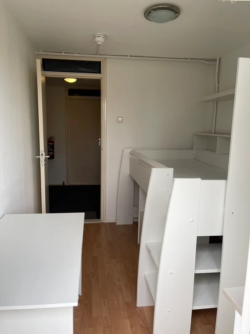 Bright and airy student room with easy university access in